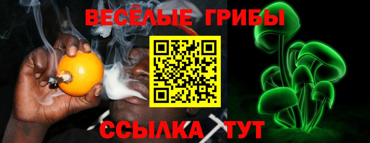 Галлюциногенные грибы MAGIC MUSHROOMS Егорьевск